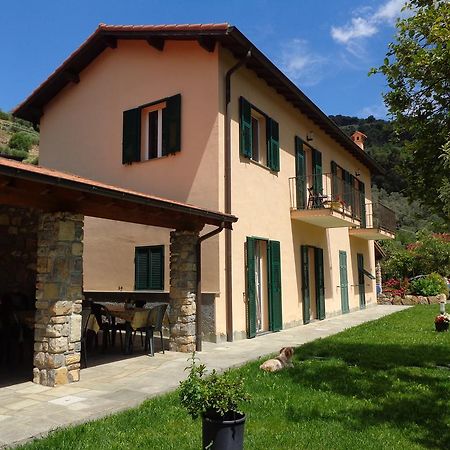 Agriturismo Turlin Vallebona Экстерьер фото