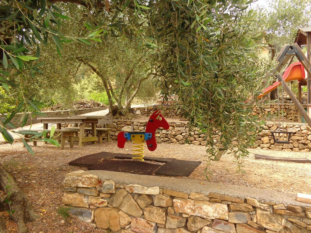 Agriturismo Turlin Vallebona Экстерьер фото