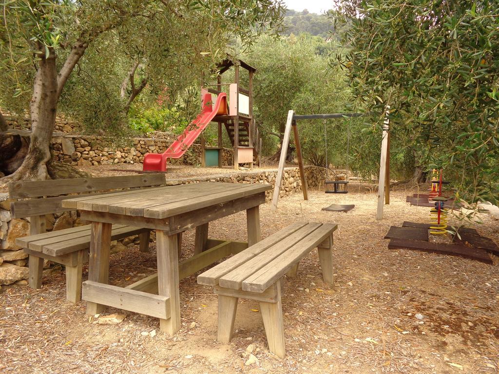 Agriturismo Turlin Vallebona Экстерьер фото