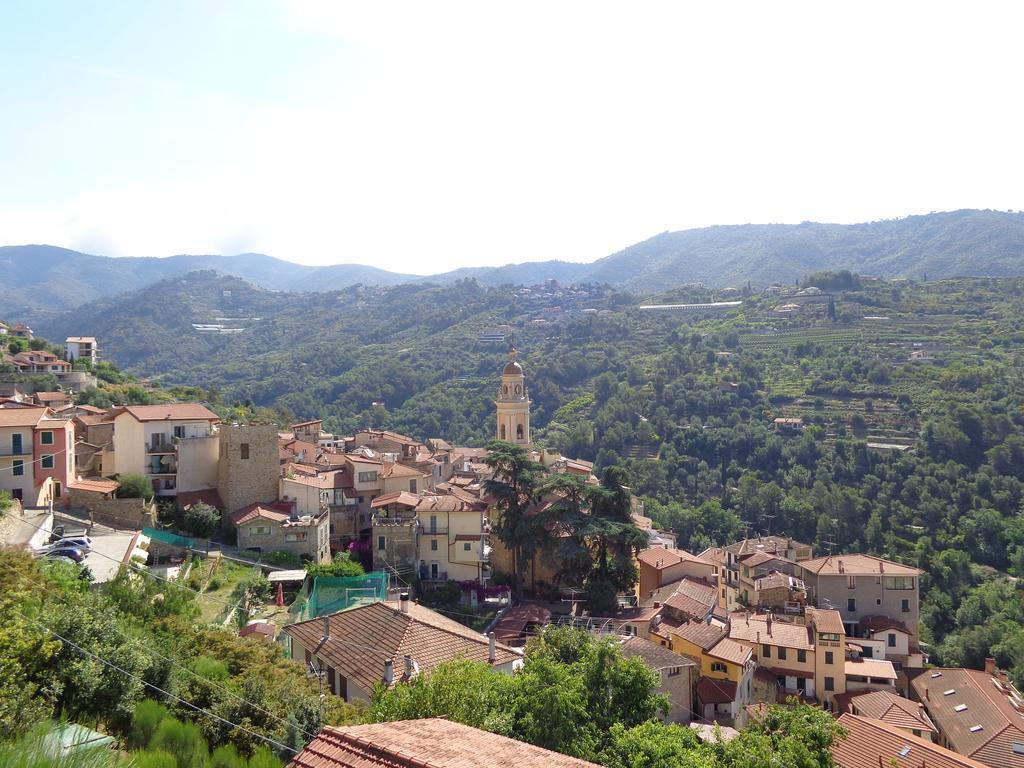 Agriturismo Turlin Vallebona Экстерьер фото