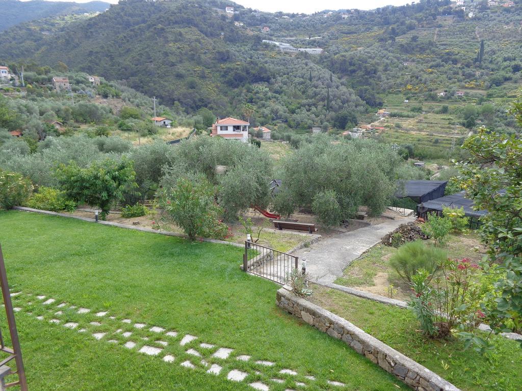 Agriturismo Turlin Vallebona Экстерьер фото