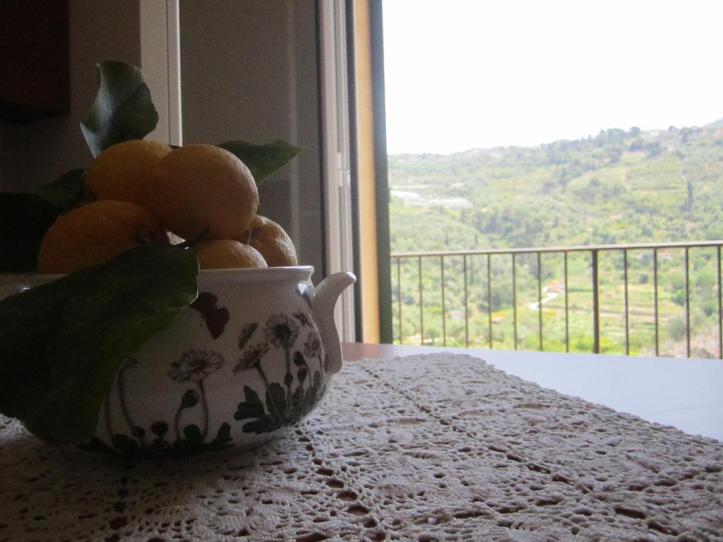 Agriturismo Turlin Vallebona Экстерьер фото