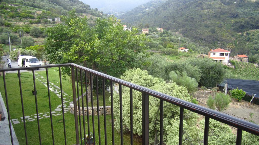 Agriturismo Turlin Vallebona Экстерьер фото