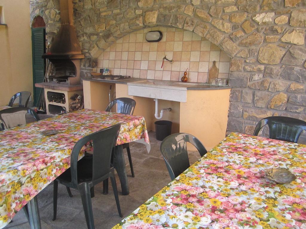 Agriturismo Turlin Vallebona Экстерьер фото