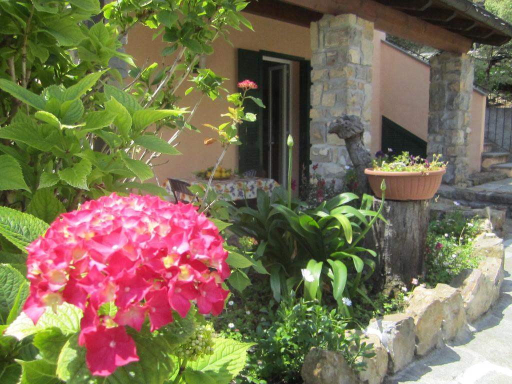 Agriturismo Turlin Vallebona Экстерьер фото